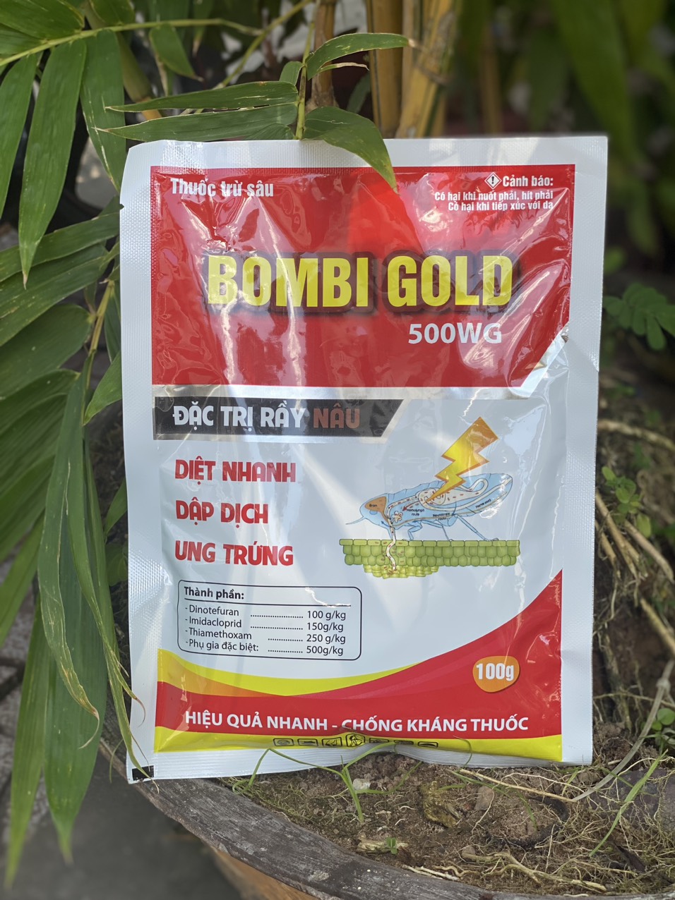BOMBI GOLD 500WG