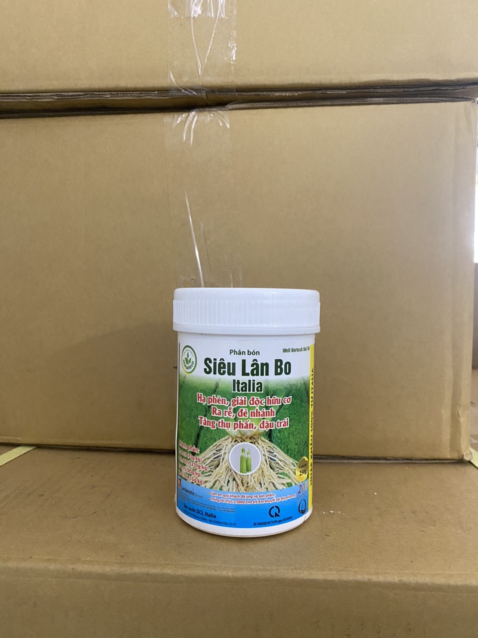 Siêu Lân Bo Italia