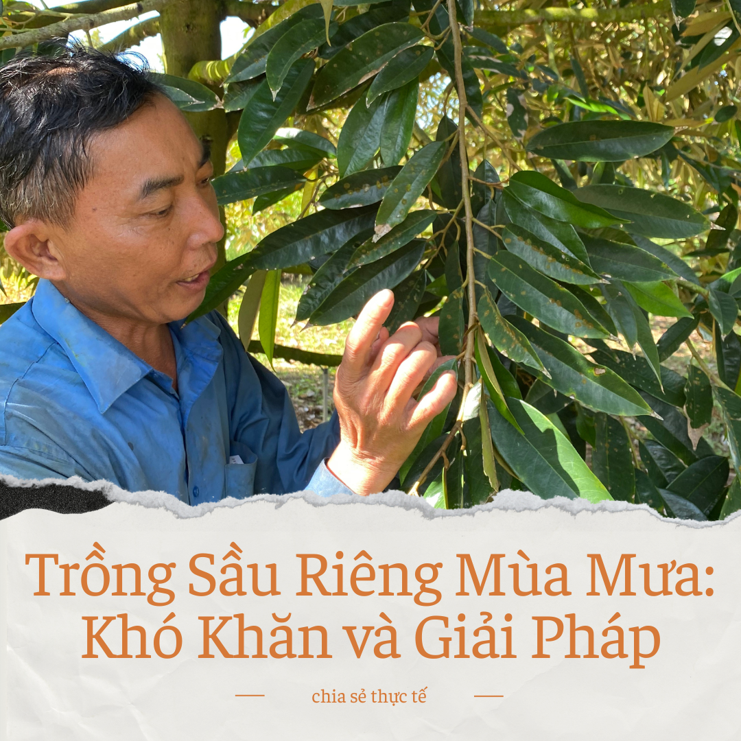 Chia sẻ thực tế